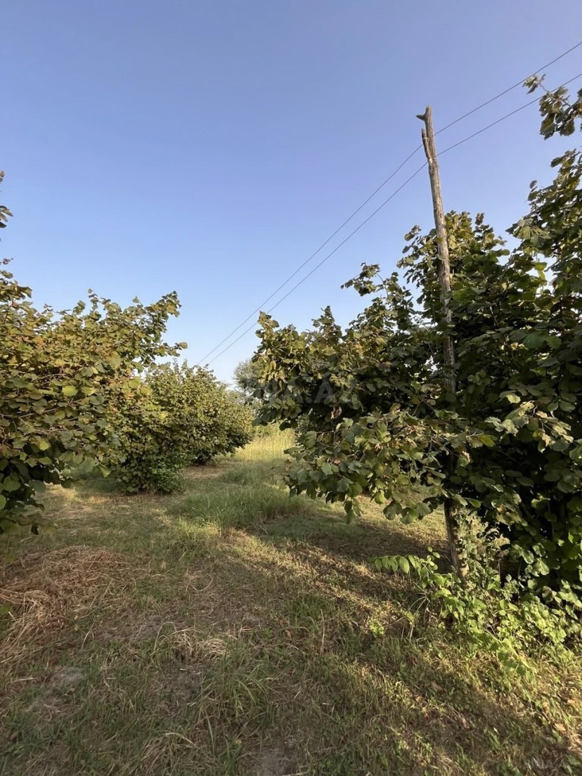 Satılır torpaq sahəsi 100 m²