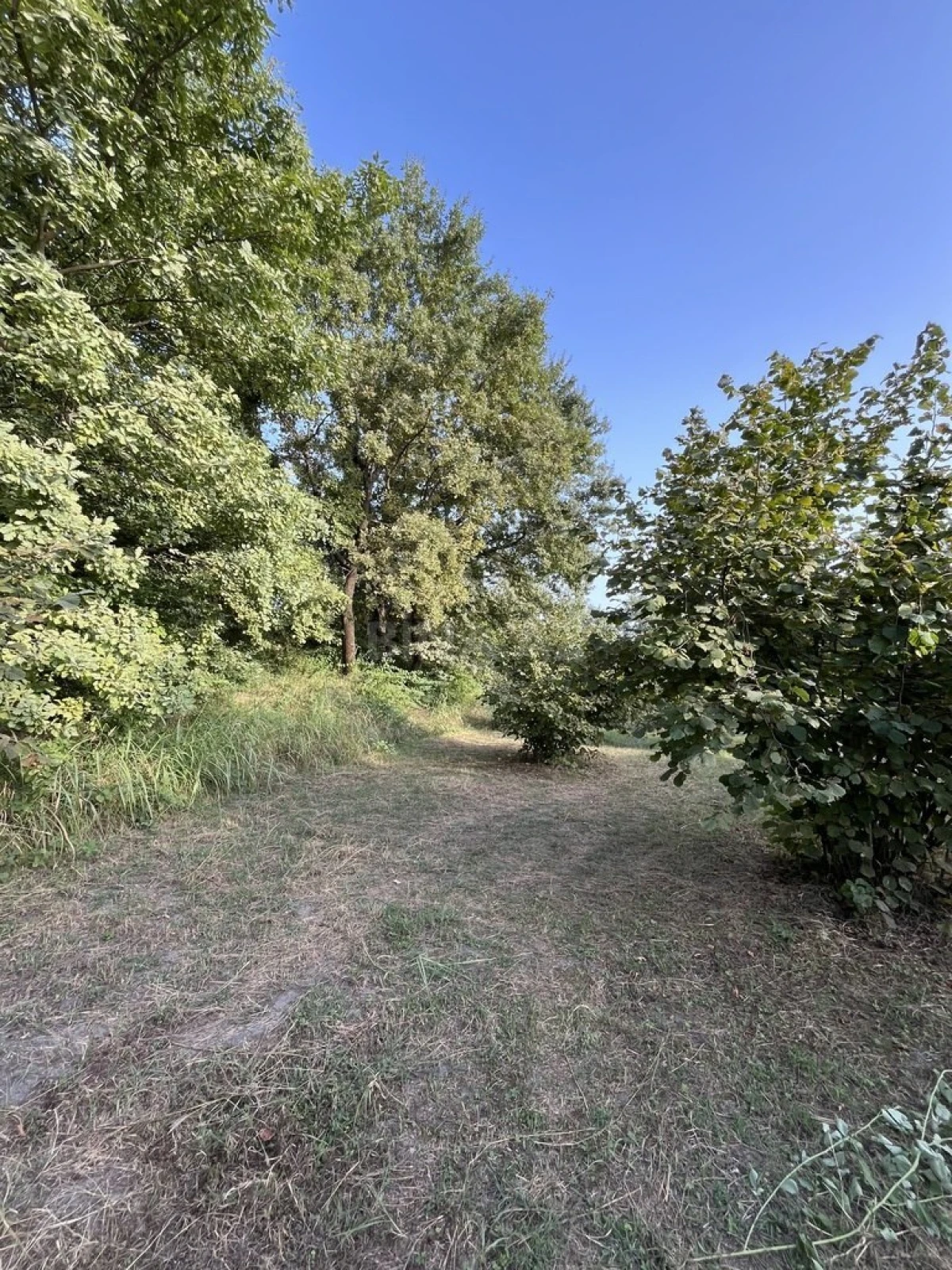 Satılır torpaq sahəsi 100 m²