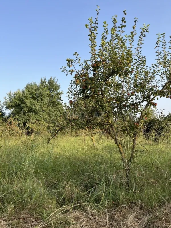 Satılır torpaq sahəsi 100 m²