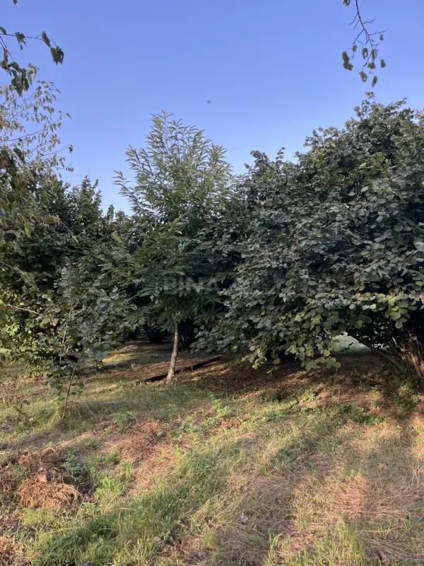 Satılır torpaq sahəsi 100 m²