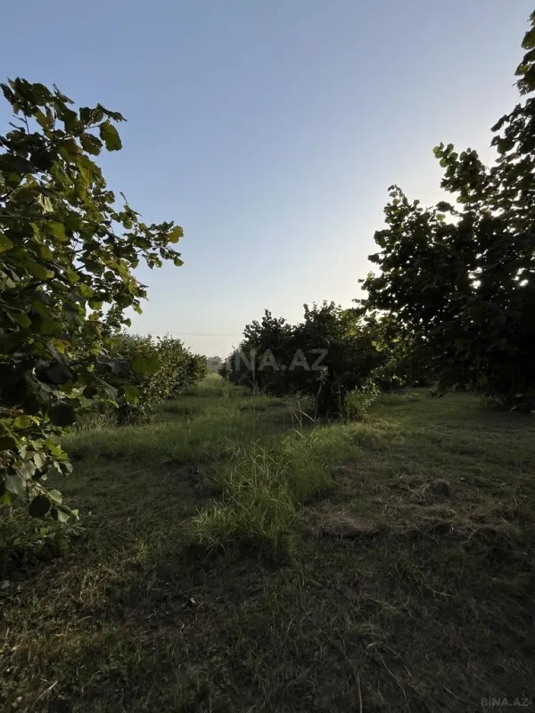 Satılır torpaq sahəsi 100 m²