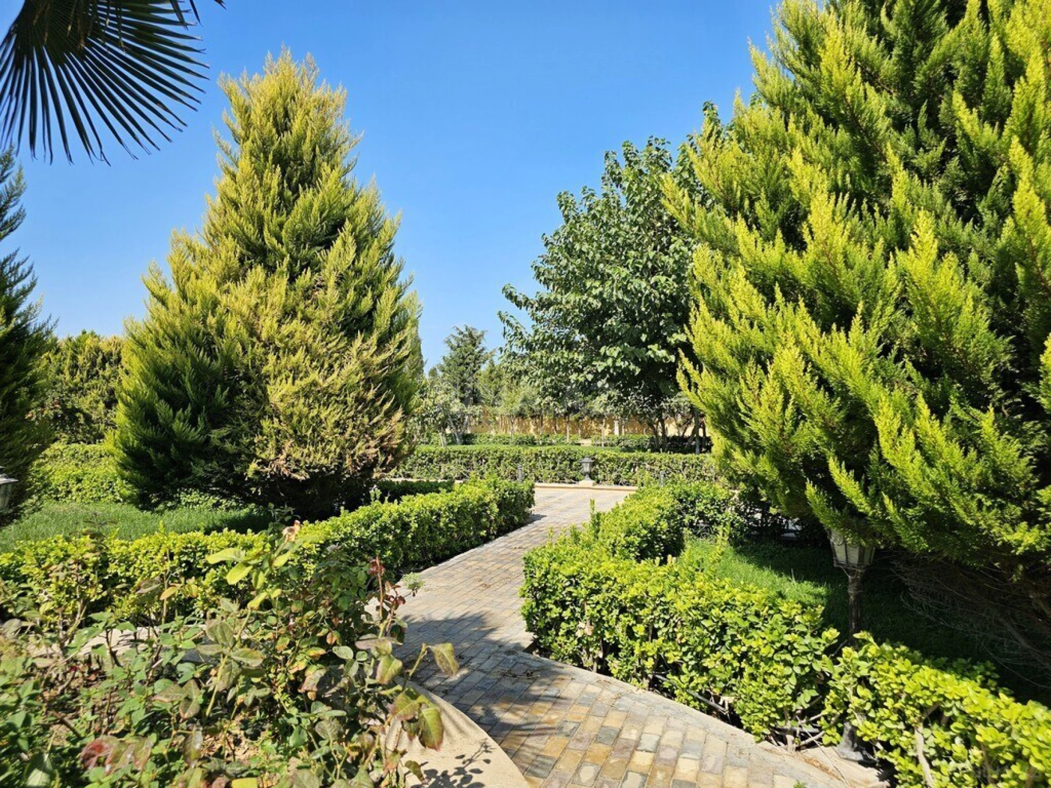 Satılır 8 otaqlı həyət evi 800 m²