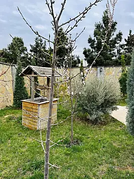 Kirayə verilir 4 otaqlı həyət evi 250 m²