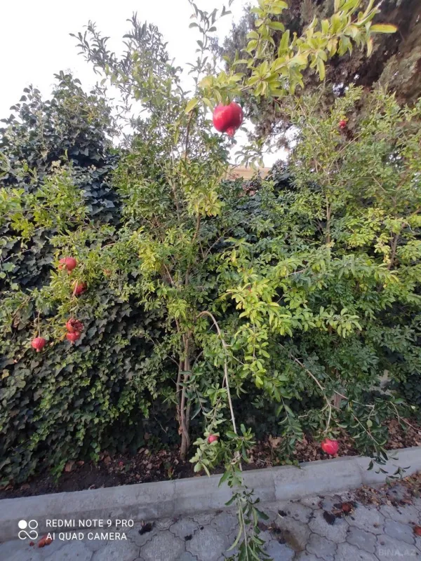 Satılır 3 otaqlı həyət evi 110 m²