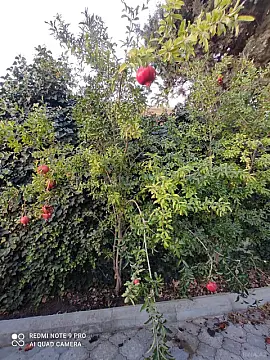 Satılır 3 otaqlı həyət evi 110 m²