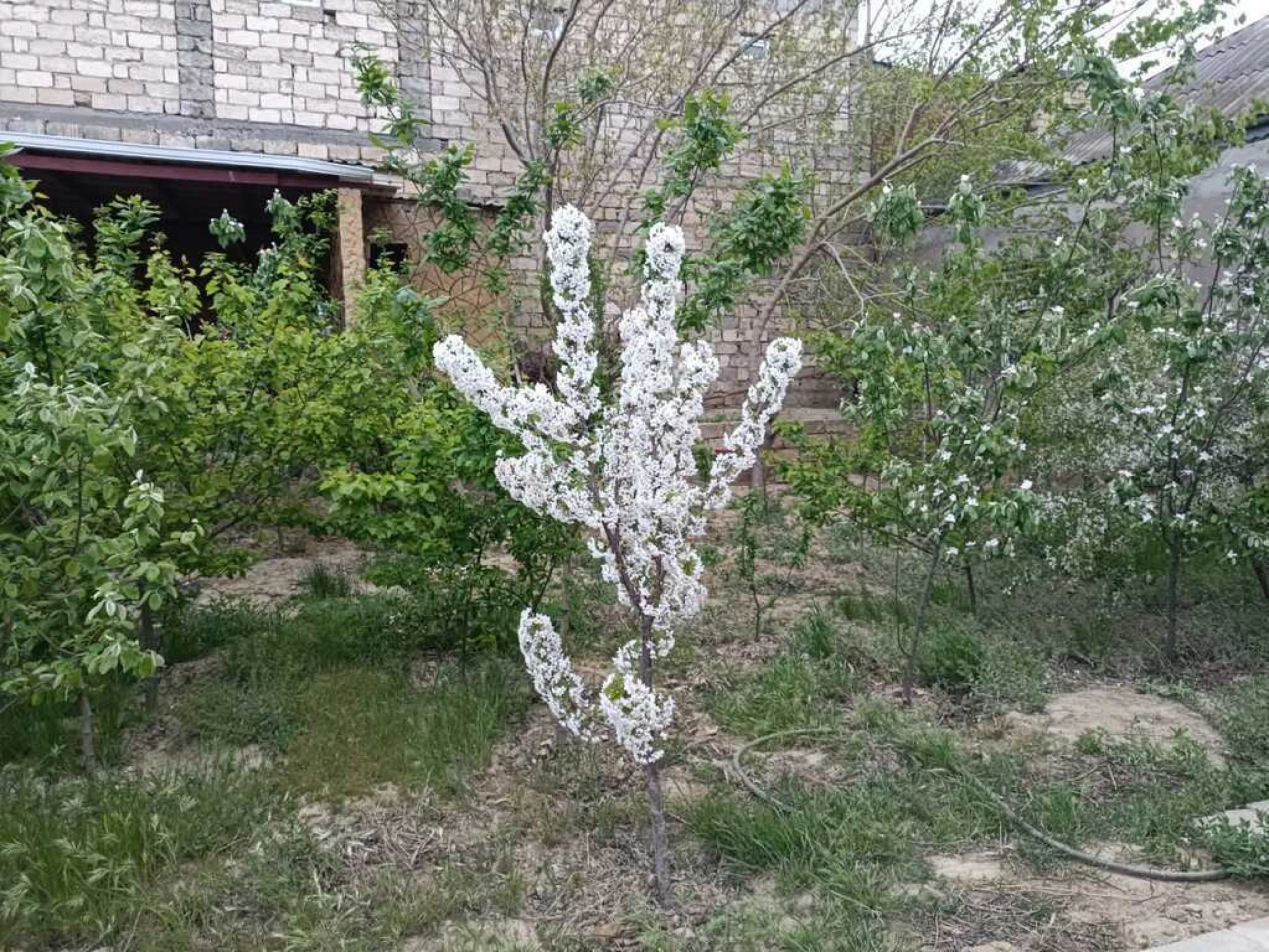 Satılır 9 otaqlı həyət evi 250 m²