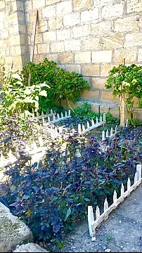 Satılır 4 otaqlı həyət evi 200 m²