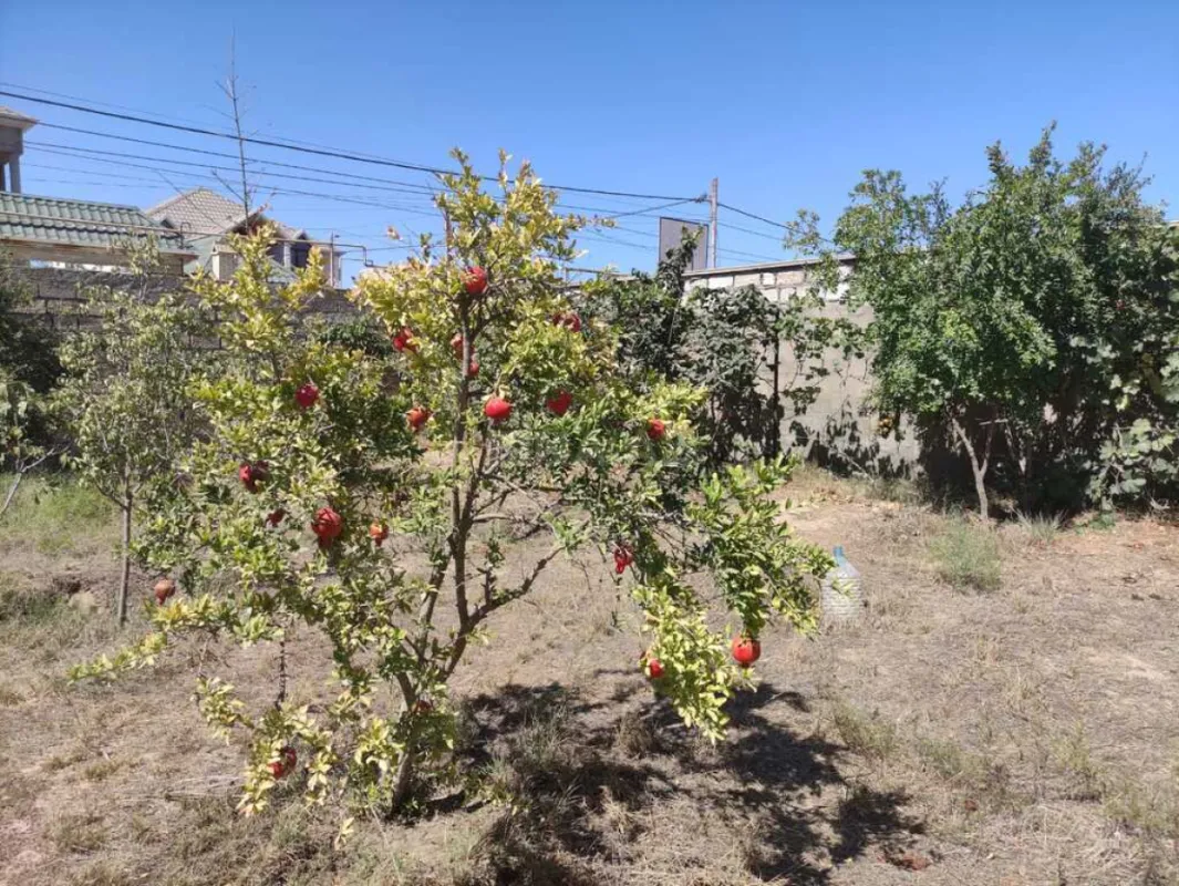 Satılır 6 otaqlı həyət evi 234 m²