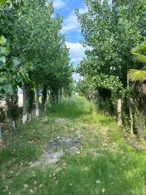 Satılır obyekt 6000 m²