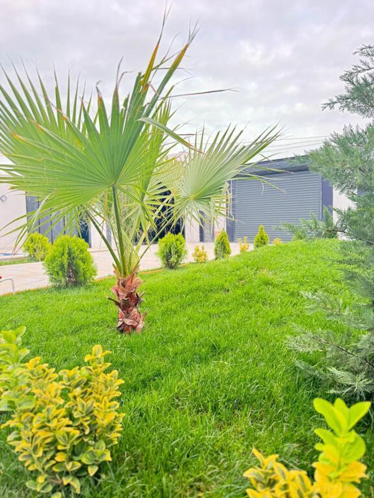 Satılır 4 otaqlı həyət evi 200 m²