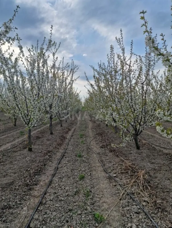 Satılır torpaq sahəsi 830 m²