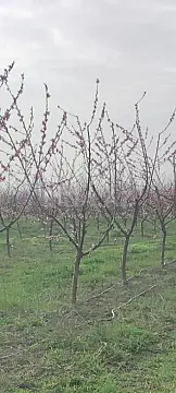 Satılır torpaq sahəsi 830 m²