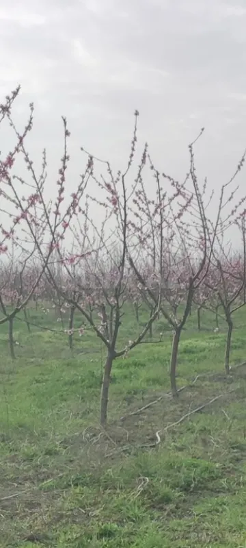 Satılır torpaq sahəsi 830 m²