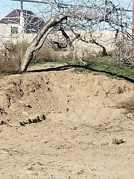 Satılır torpaq sahəsi 9 m² — Bakı, Nardaran 9.00 m²