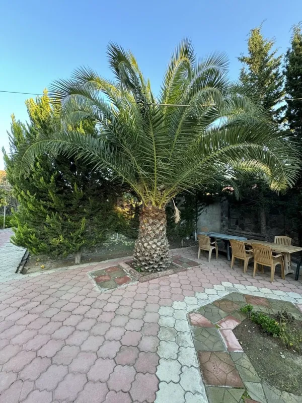 Satılır 6 otaqlı həyət evi 240 m²