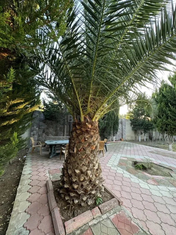 Satılır 6 otaqlı həyət evi 240 m²