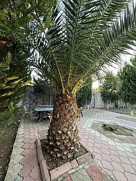 Satılır 6 otaqlı həyət evi 240 m²