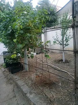 Satılır torpaq sahəsi 4.5 m²