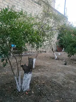 Satılır torpaq sahəsi 4.5 m² — Bakı, Binəqədi 4.50 m²