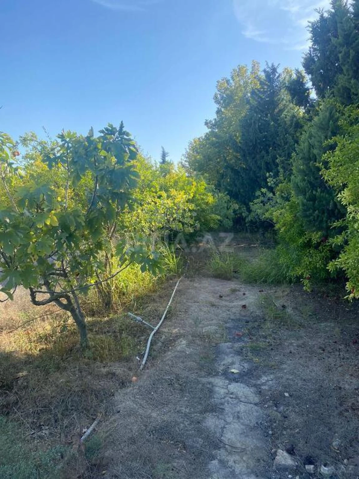 Satılır torpaq sahəsi 220 m²