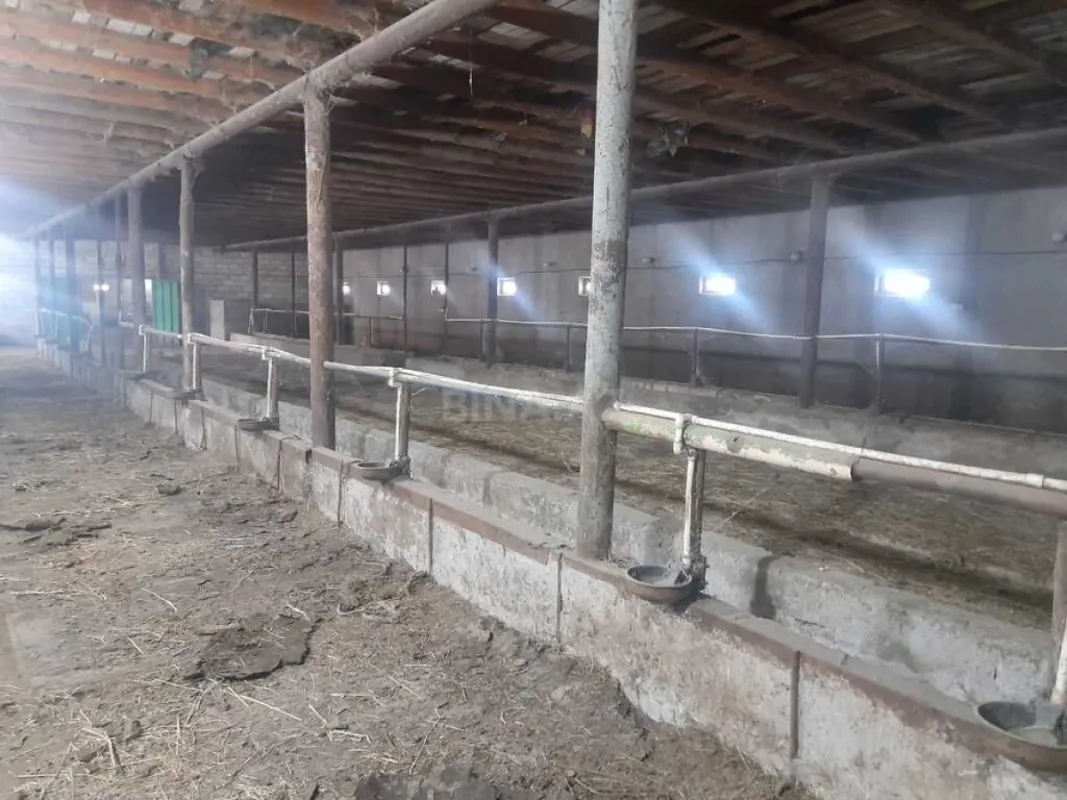 Satılır obyekt 5000 m²