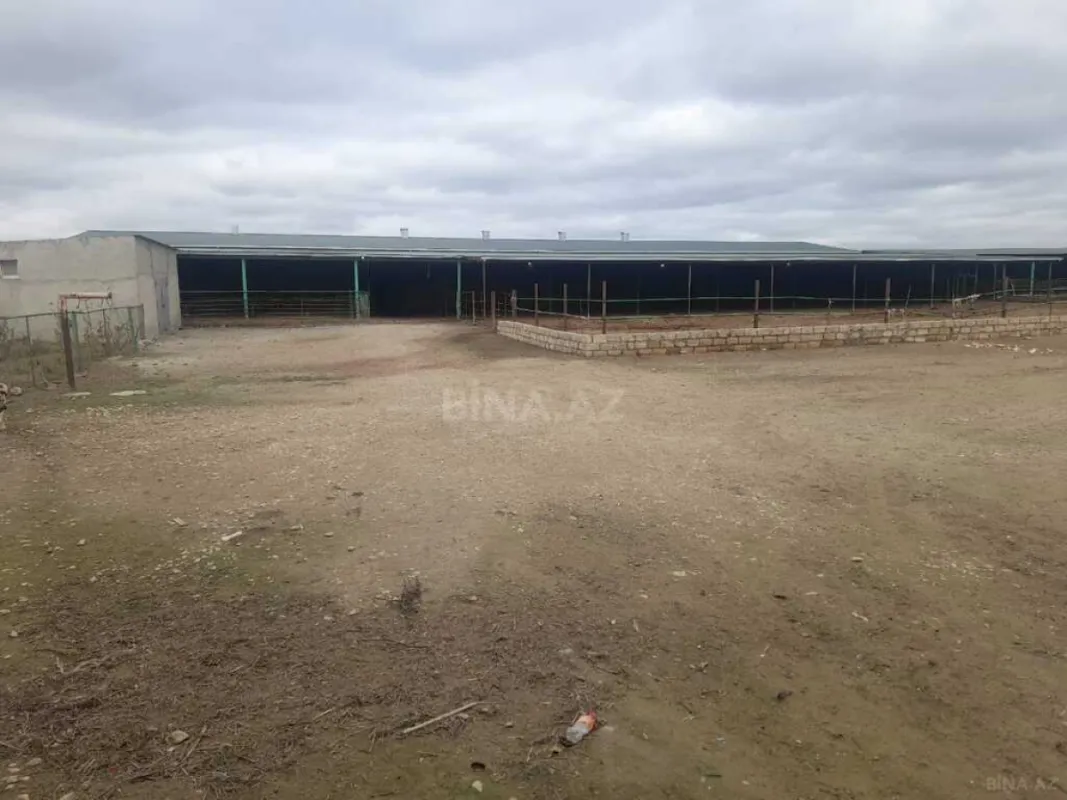 Satılır obyekt 5000 m²