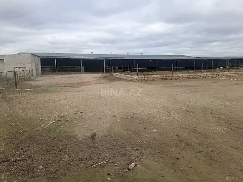 Satılır obyekt 5000 m² — Bakı, Qaradağ 5000.00 m²