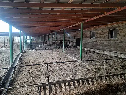 Satılır obyekt 5000 m²