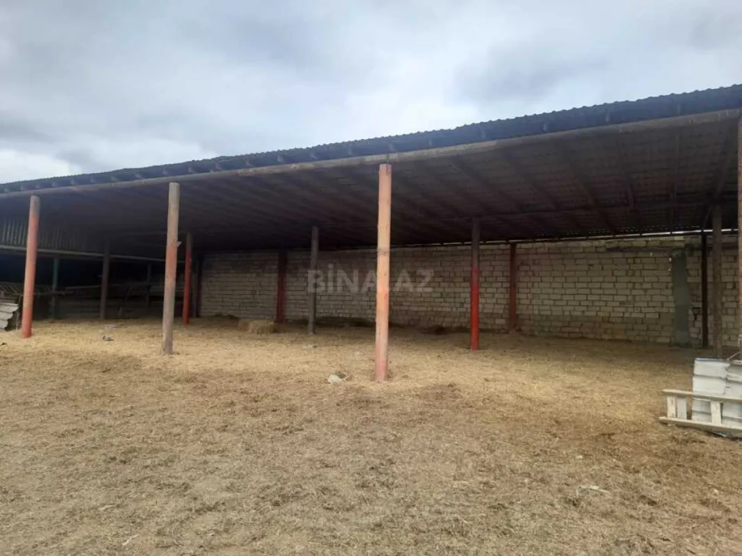 Satılır obyekt 5000 m²