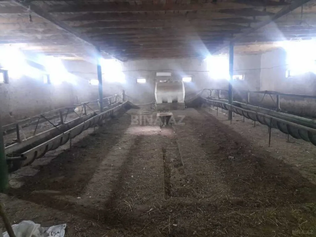 Satılır obyekt 5000 m²