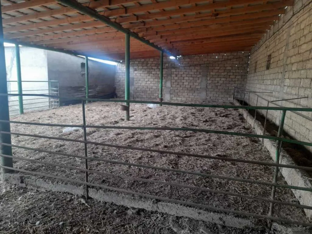 Satılır obyekt 5000 m²