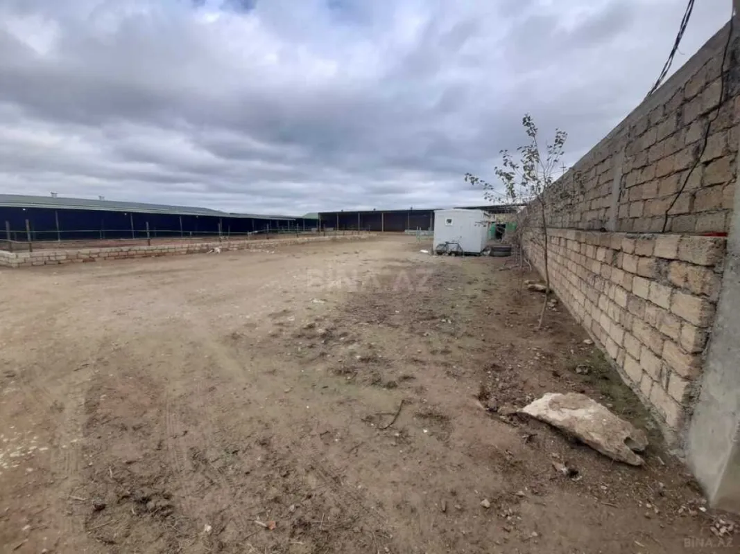 Satılır obyekt 5000 m²