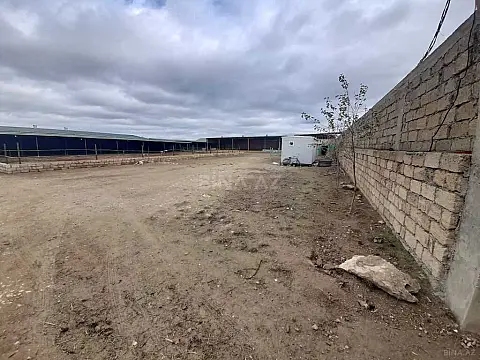 Satılır obyekt 5000 m²