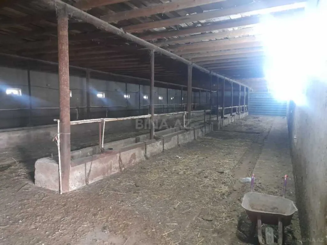 Satılır obyekt 5000 m²