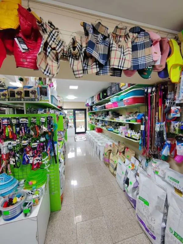 Satılır obyekt 67 m²