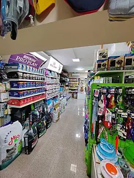 Satılır obyekt 67 m²