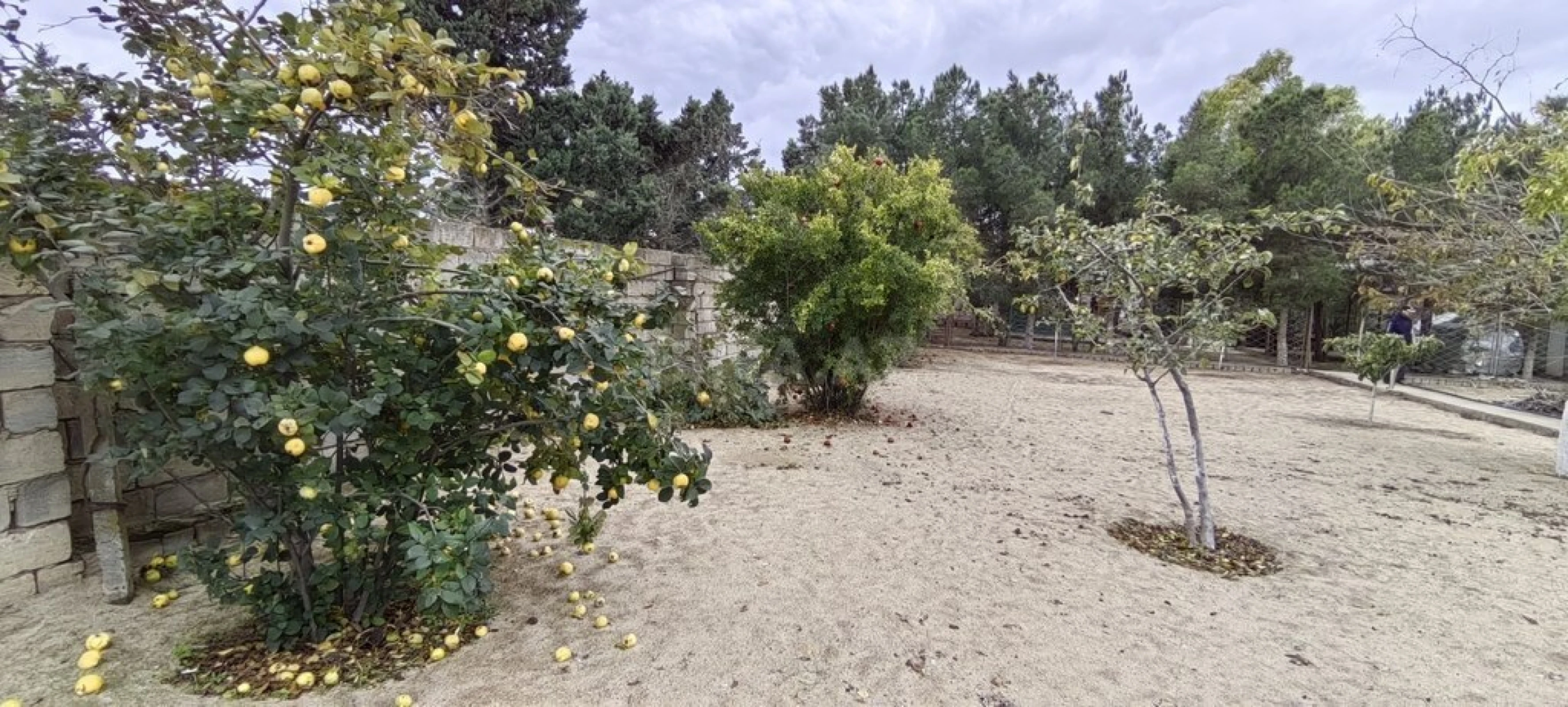 Satılır torpaq sahəsi 24 m²