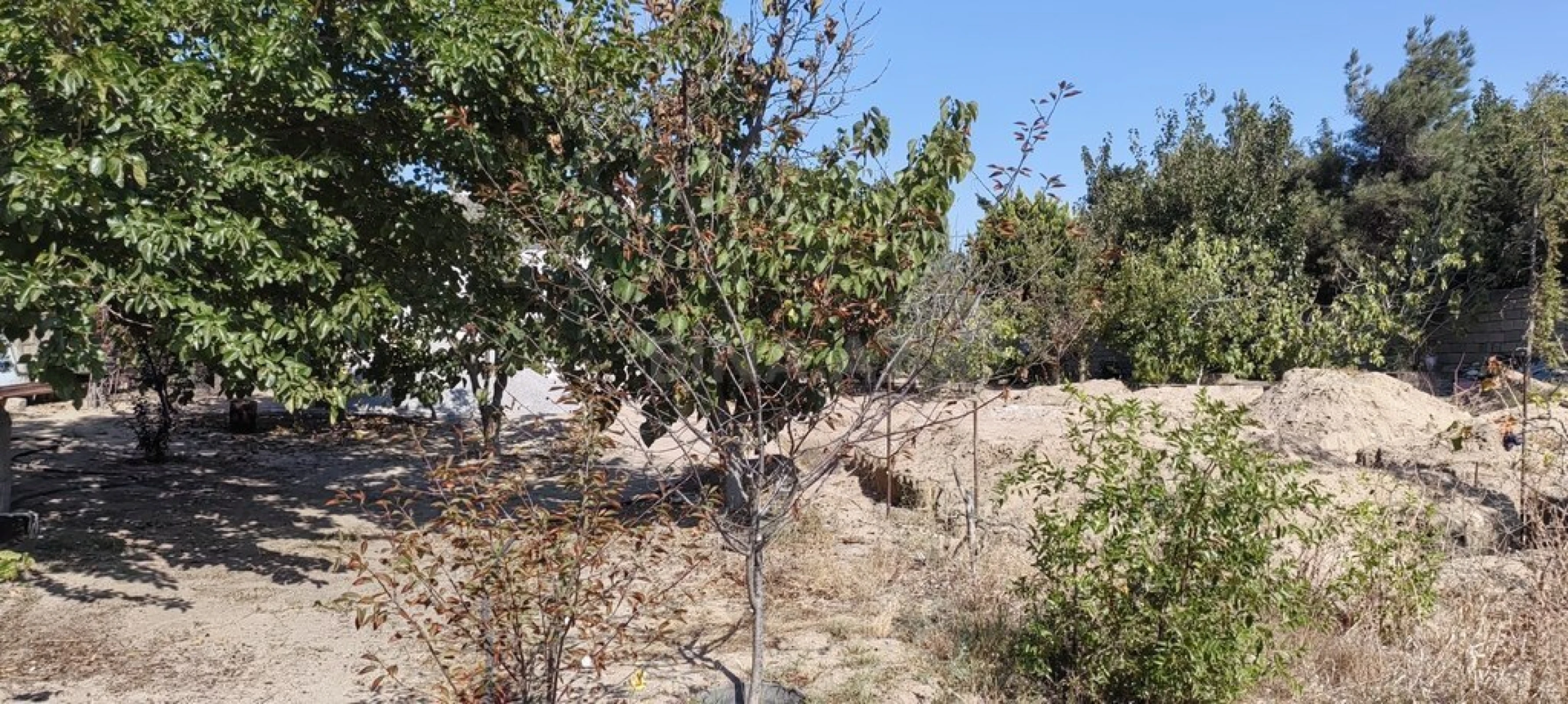 Satılır torpaq sahəsi 24 m²