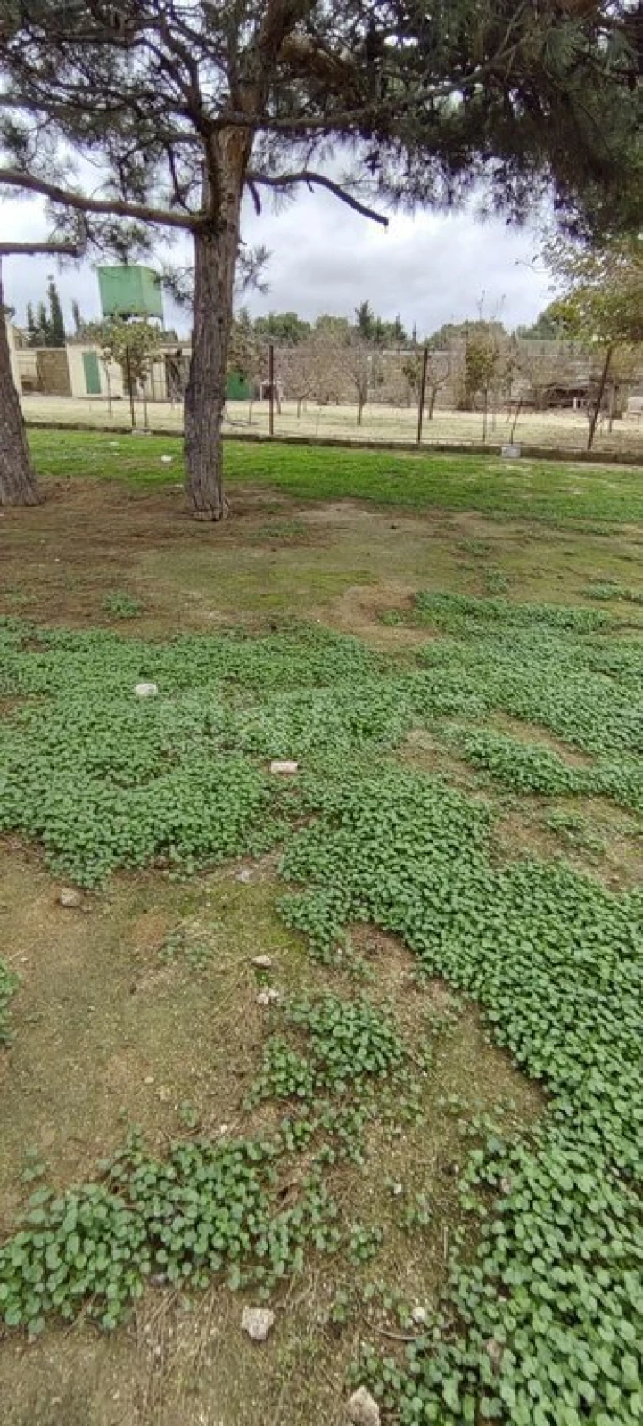 Satılır torpaq sahəsi 20 m²