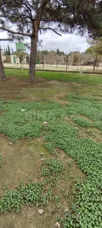 Satılır torpaq sahəsi 20 m²