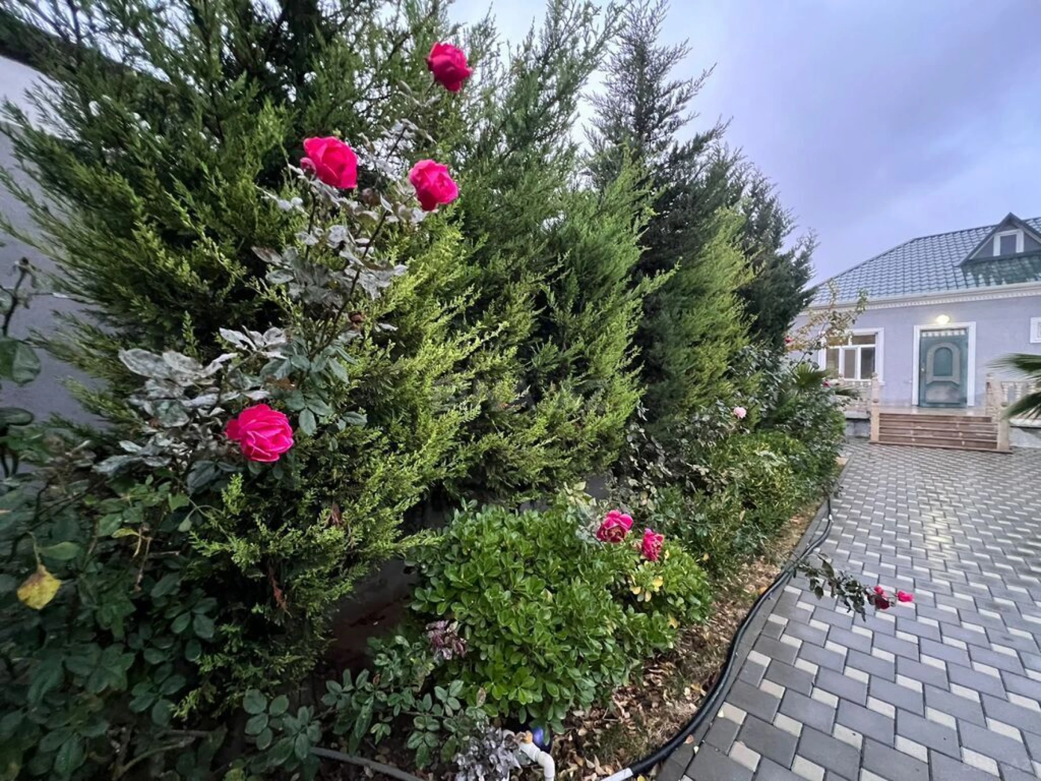 Satılır 4 otaqlı həyət evi 160 m²