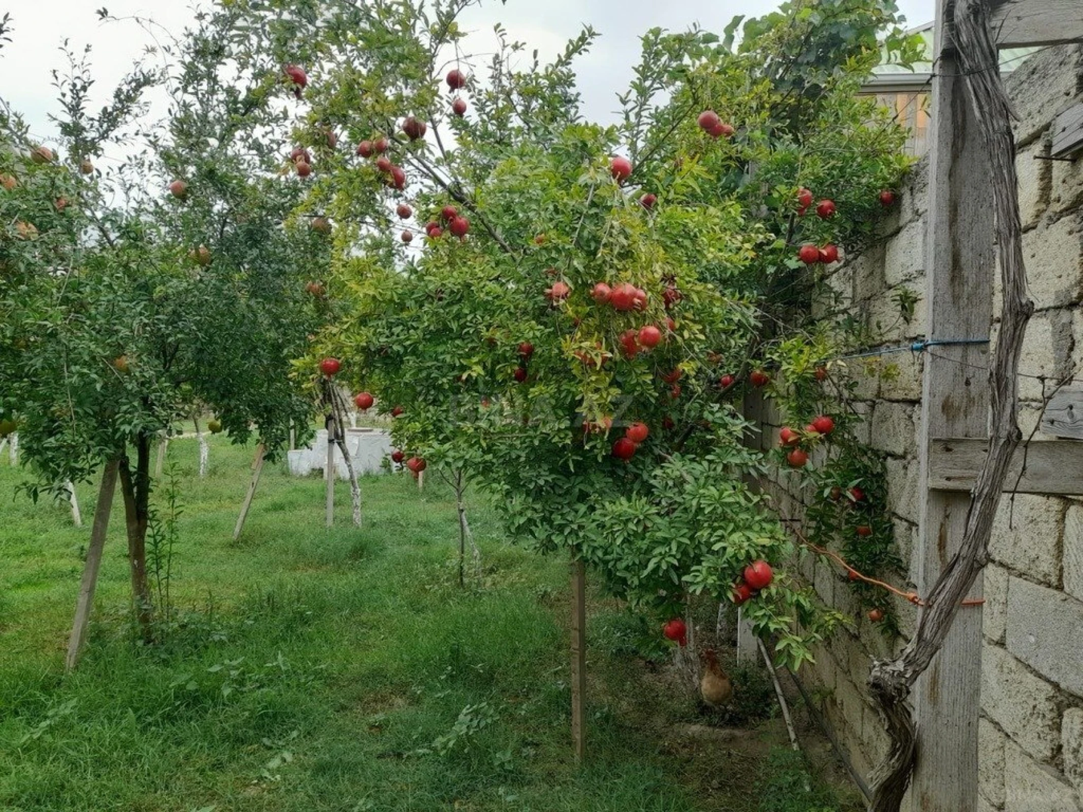 Satılır 3 otaqlı həyət evi 104 m²