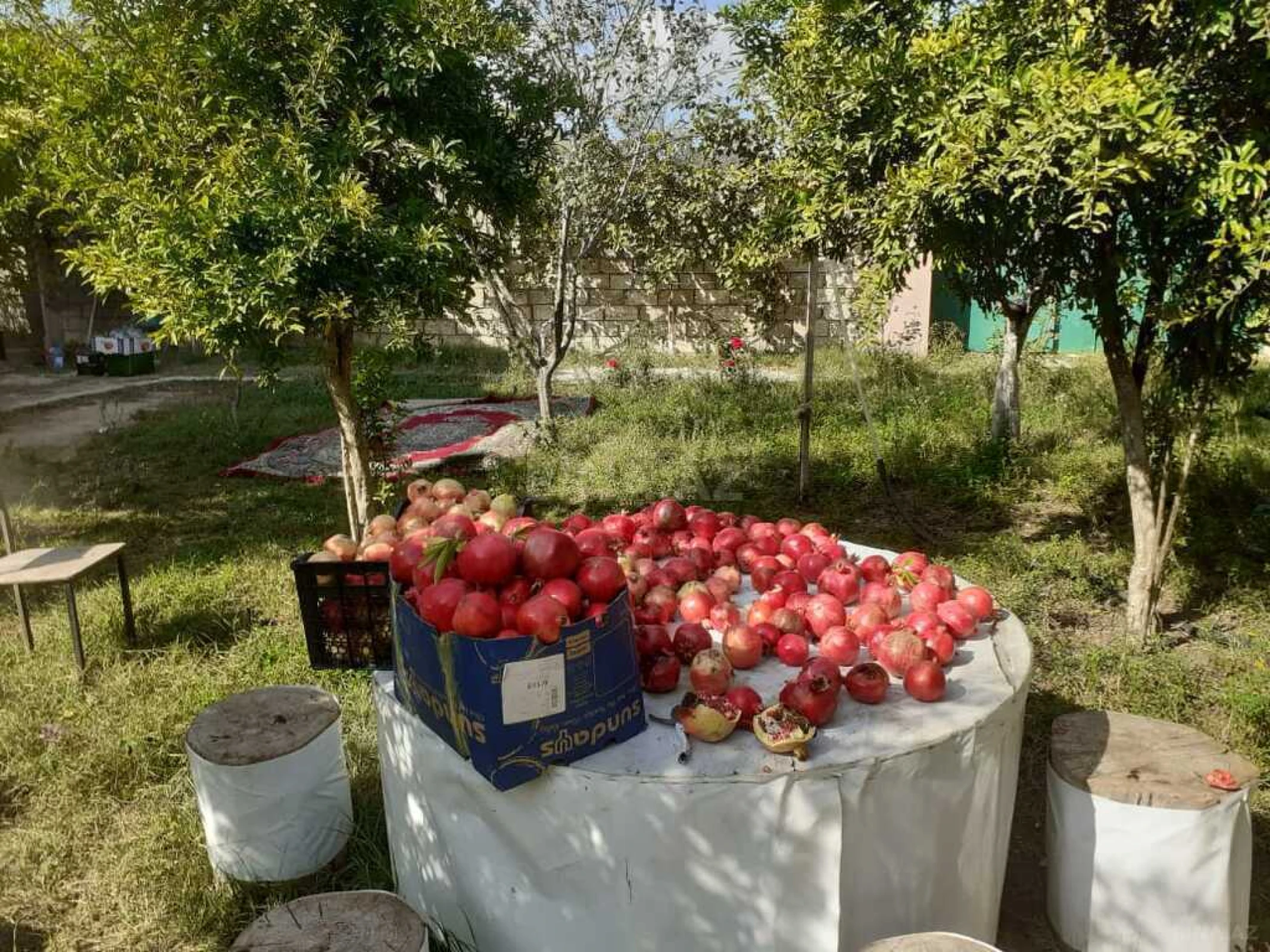 Satılır 3 otaqlı həyət evi 104 m²