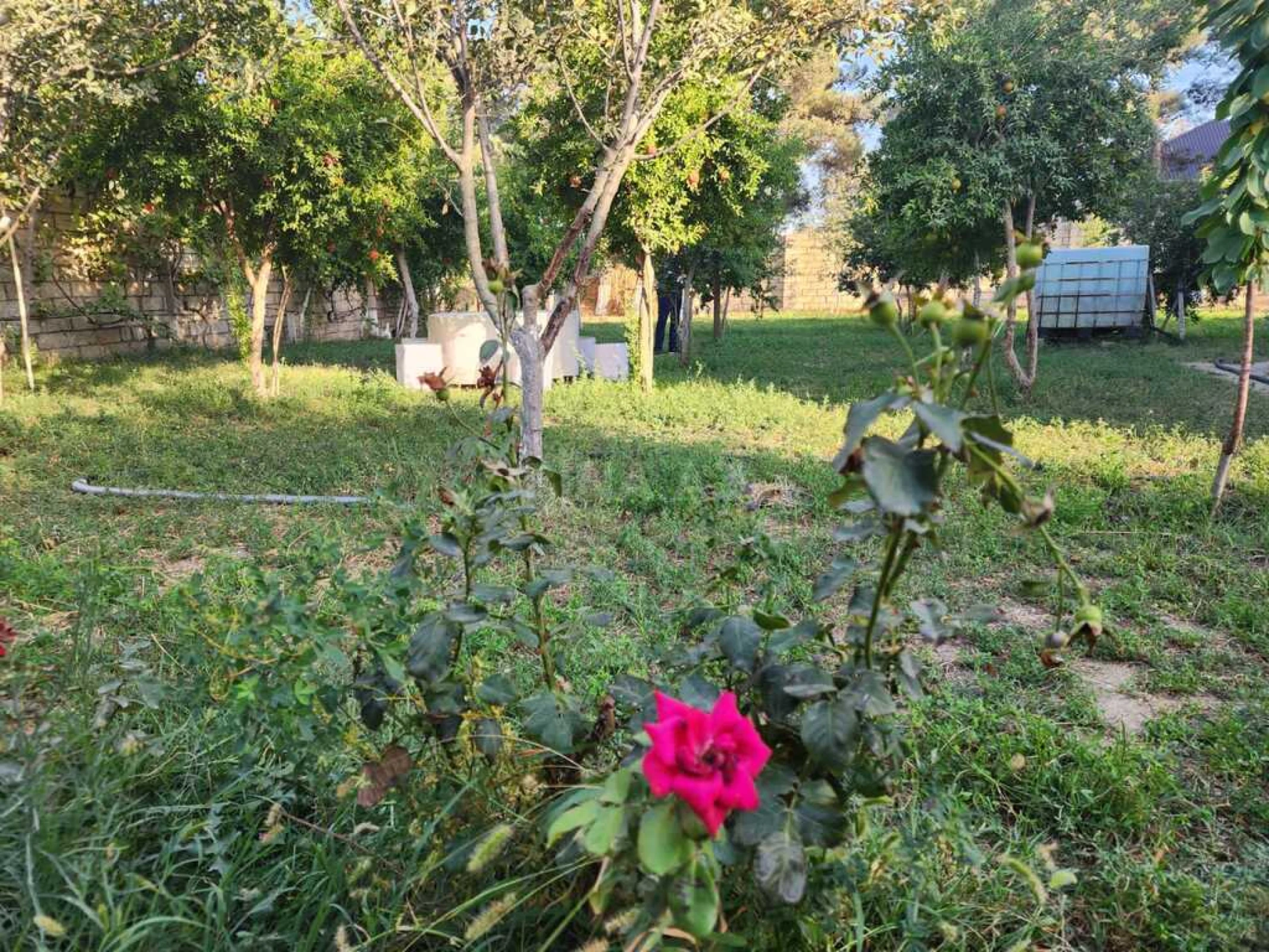 Satılır 3 otaqlı həyət evi 104 m²