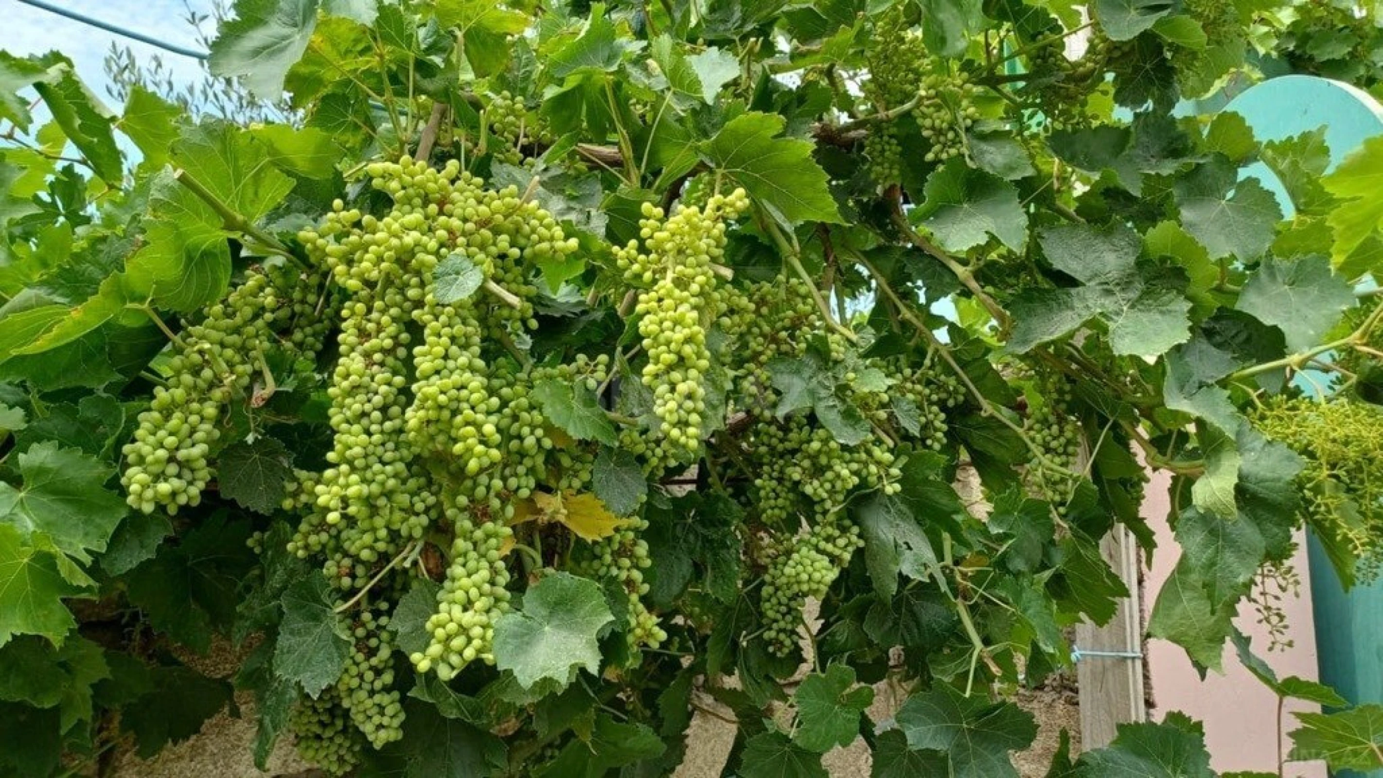 Satılır 3 otaqlı həyət evi 104 m²