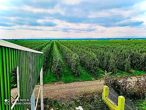 Satılır obyekt 50 m² — Quba 50.00 m²