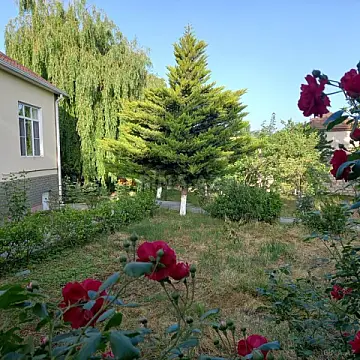 Kirayə verilir 4 otaqlı həyət evi 100 m²