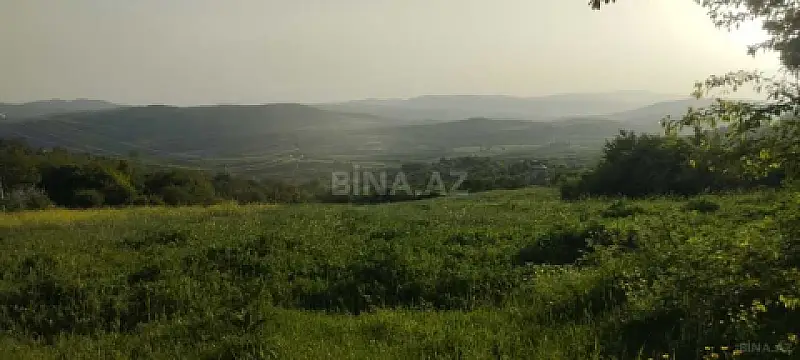 Satılır torpaq sahəsi 75 m² — İsmayıllı 75.00 m²