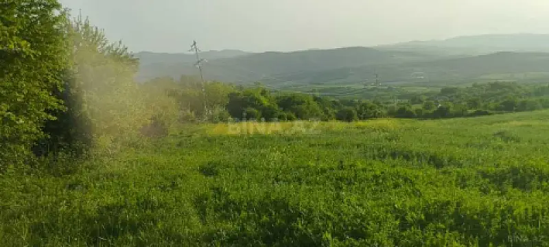 Satılır torpaq sahəsi 75 m²