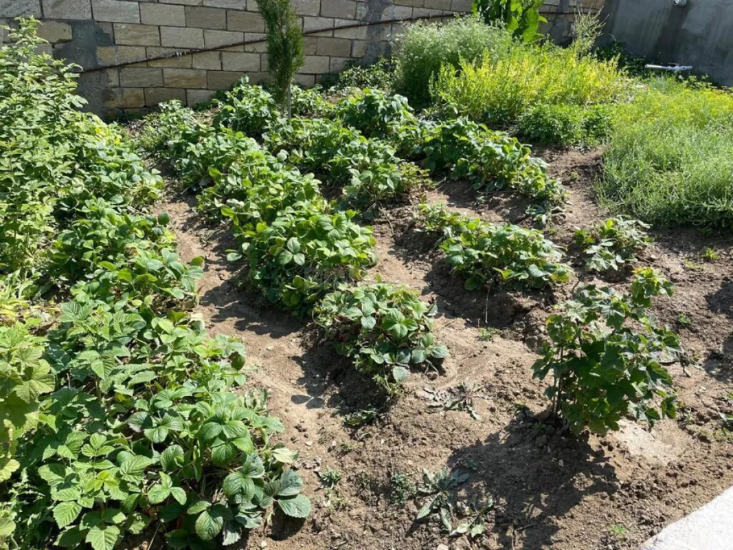 Satılır 5 otaqlı həyət evi 169 m²